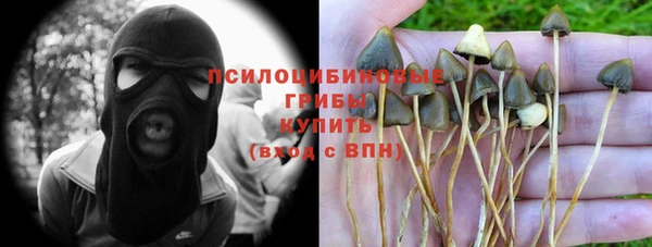 spice Кукмор