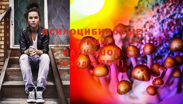 прущий лед Белокуриха