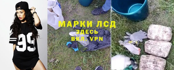 spice Кукмор