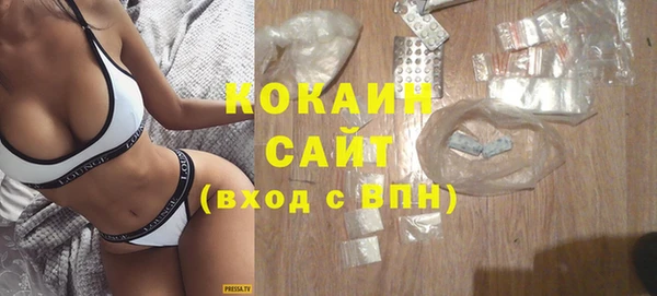 соль ск Кулебаки