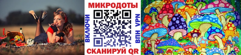 Псилоцибиновые грибы мицелий закладки блэк спрут как войти Бикин